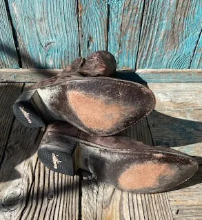 Old Gringo Embroidered Daisy Boots 7.5